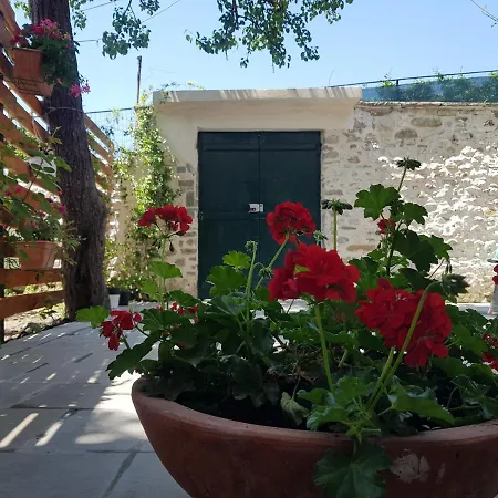 Villa Grigor Berat Exterior photo